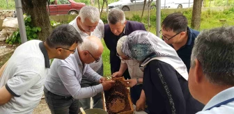 Karabük'te arıcılık yapan 26 üreticiye 'Ana Arı Yetiştiriciliği' kursu verildi