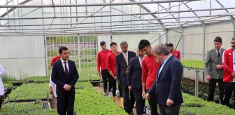 Erzincan'da öğrenciler organik sebzeler yetiştiriyor