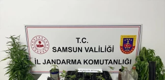 Samsun'da Uyuşturucu Operasyonu: 2 Gözaltı