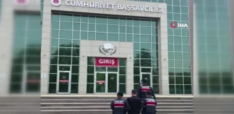 Terör örgütü PKK/YPG'nin sözde üst düzey komutanı Tekirdağ'da yakalandı