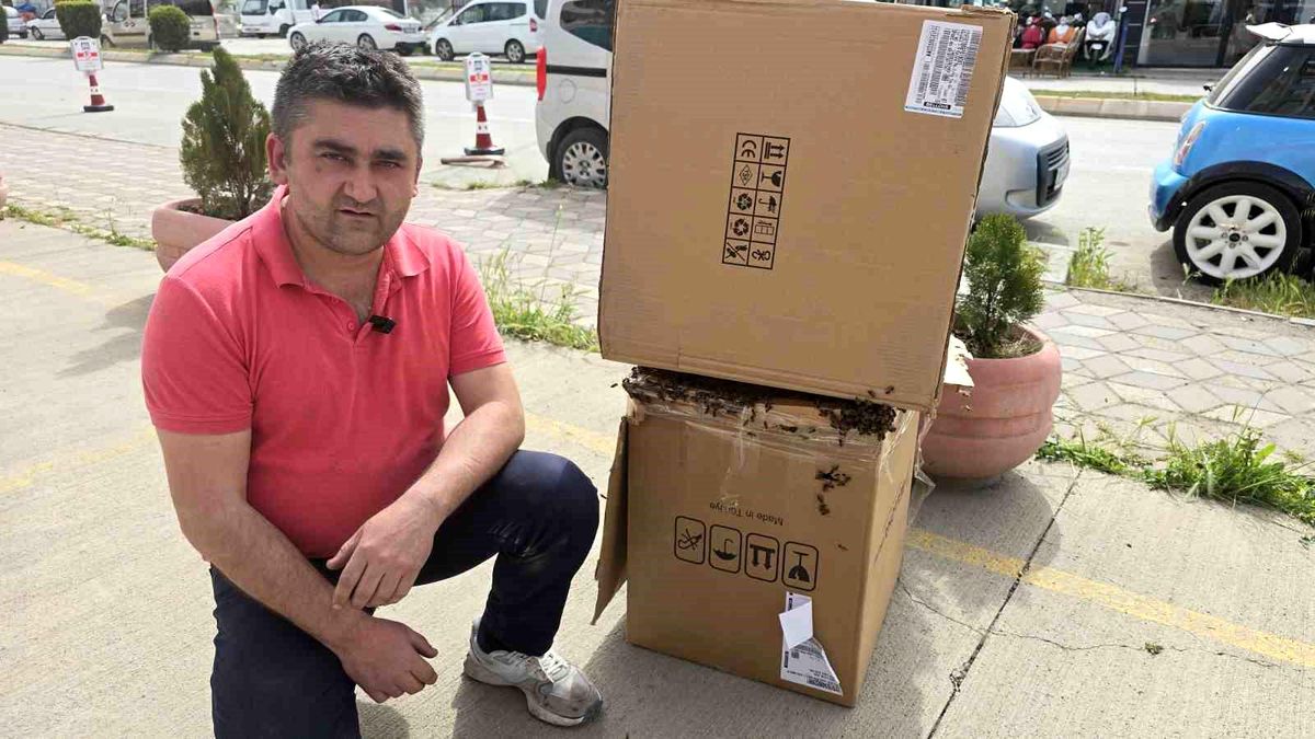 Tokat'ta Beklenmedik Arı Sürüsü Olayı