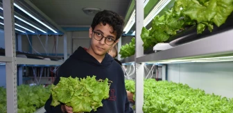Trabzon'da Lise Bahçesinde Topraksız Tarım Projesi