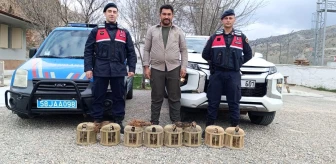 Sivas'ta yasadışı avcılık yapan 4 kişi yakalandı