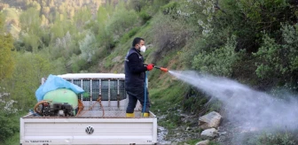 Bitlis Belediyesi Sinekle Mücadele Çalışmalarına Devam Ediyor