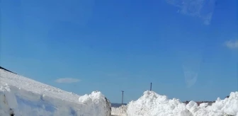 Trabzon'da kar nedeniyle yayla yolları ulaşıma açılıyor