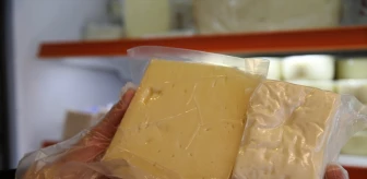 Trakya'da Peynir Rotaları Önerisi Gündeme Geldi