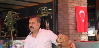 Çankırı'da Hafif Ticari Araç Köpeğin Üzerinden Geçti