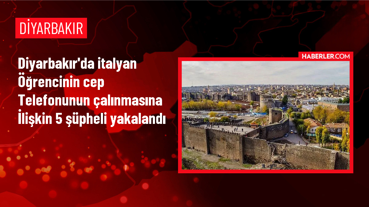 Diyarbakır'da İtalyan öğrencinin halay çektiği sırada cep telefonu çalındı