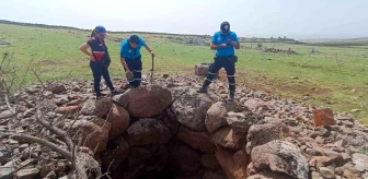 Diyarbakır'da kayıp çoban arama çalışmaları devam ediyor