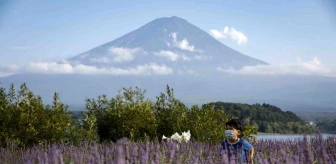 Japonya'da Fuji Dağı'na turist akını engelleniyor