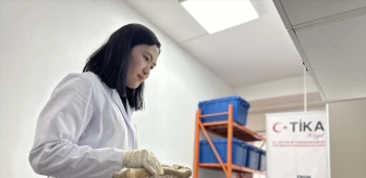 TİKA, Moğolistan'da biyoarkeolojik laboratuvar kurdu