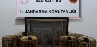 Van'da Kaçak Keklik Avına 83 Bin 620 TL Cezası