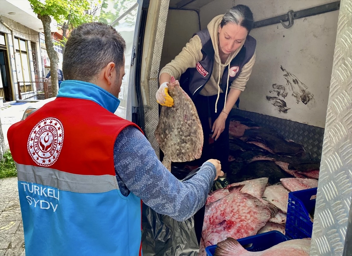 Sinop'ta Kaçak Avlanan 340 Kalkan Balığı Ele Geçirildi