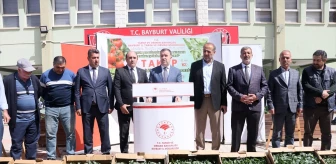 Bayburt'ta çiftçilere 175 bin domates, salata ve biber fidesi dağıtıldı