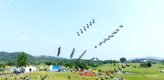 Uçurtma turnuvası Wuhan'da düzenlendi