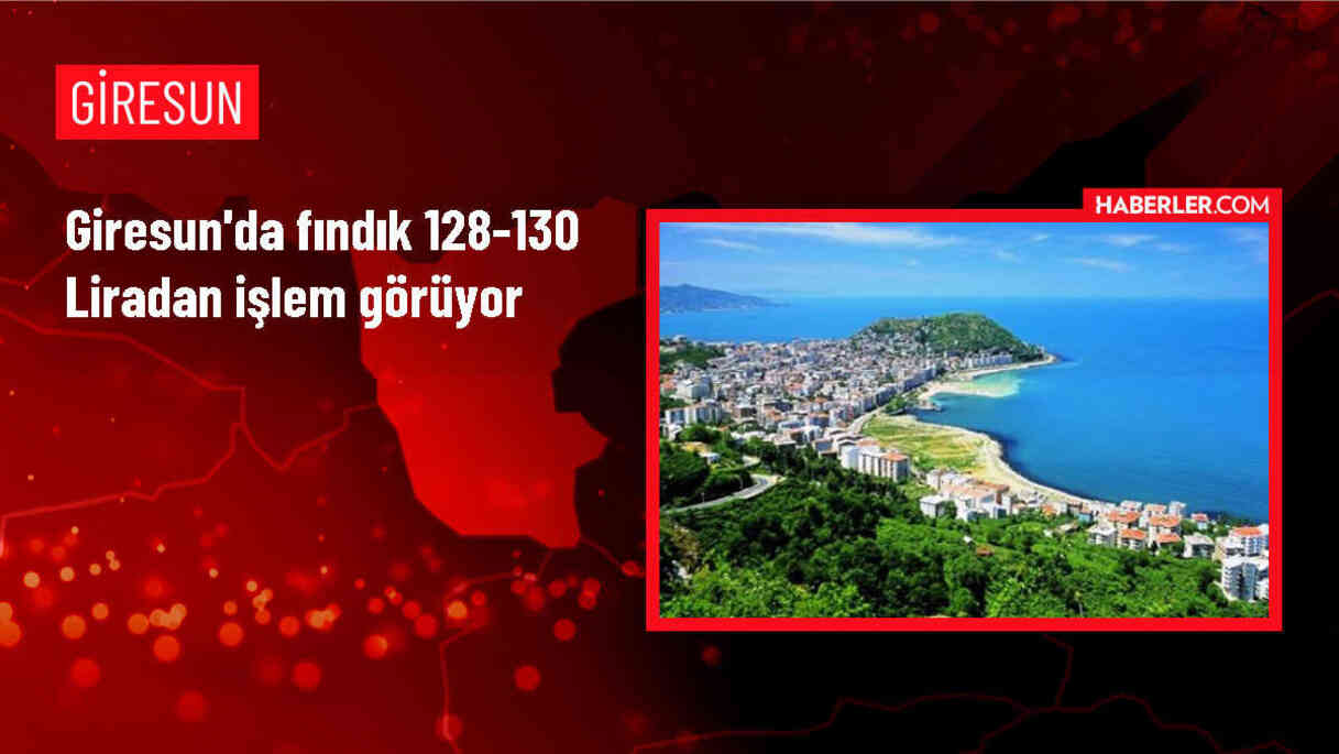 Fındık Fiyatları Serbest Piyasada Yükselişte