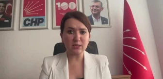 CHP Genel Başkan Yardımcısı Gökçe Gökçen, Tahir Elçi Davası'nda beraat istenmesine tepki gösterdi