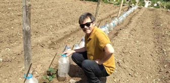 Kütahya'da çiftçi sebze fidelerini pet şişelerle koruyor