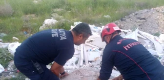 Malatya'da Üstü Açık Rögara Düşen Köpek İtfaiye Tarafından Kurtarıldı