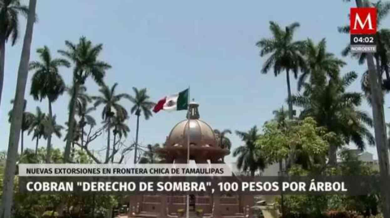 Meksika'daki karteller, bahçelerinde ağaç bulunan yaşlı insanlardan 'Gölge vergisi' almaya başladı Meksika'daki karteller, bahçelerinde ağaç bulunan yaşlı insanlardan 'Gölge vergisi' almaya başladı