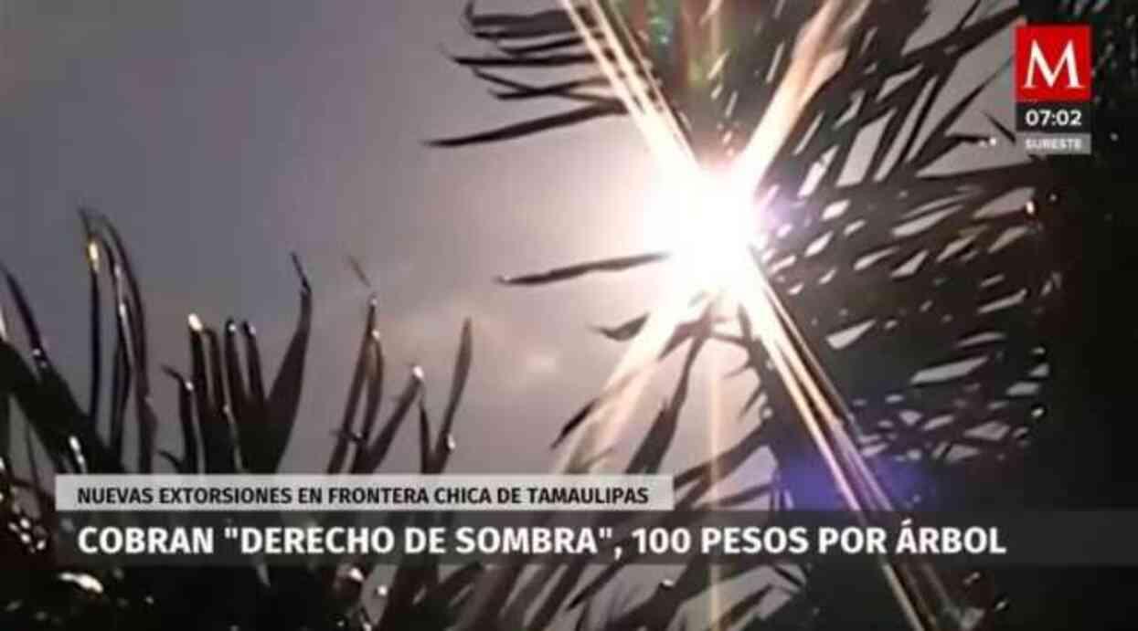 Meksika'daki karteller, bahçelerinde ağaç bulunan yaşlı insanlardan 'Gölge vergisi' almaya başladı Meksika'daki karteller, bahçelerinde ağaç bulunan yaşlı insanlardan 'Gölge vergisi' almaya başladı
