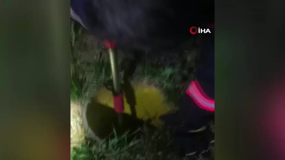 Rögar borusuna düşen kirpiler kurtarıldı