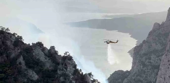 Samsun'un Vezirköprü ilçesinde orman yangını çıktı