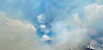 Afyonkarahisar İhsaniye'de Saman Yangını