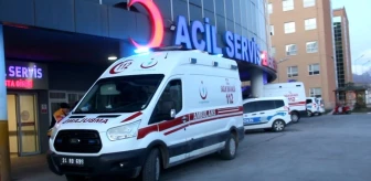 Erzincan'ın Tercan ilçesinde ayı saldırısı: 1 kişi yaralandı