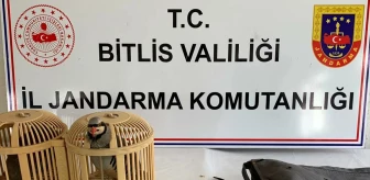 Bitlis'te 3 Keklik ve Av Malzemeleriyle Yakalananlara Yüksek Cezalar