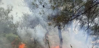 Hatay'ın Yayladağı ilçesinde ormanlık alanda çıkan yangın söndürüldü