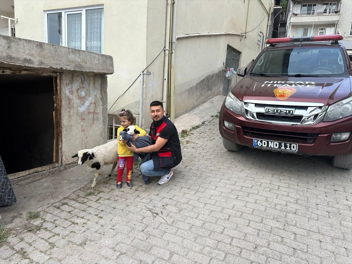 Kaybolan Kuzu İtfaiye Tarafından Bulundu