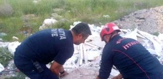 Malatya'da rögara düşen köpek itfaiye ekipleri tarafından kurtarıldı