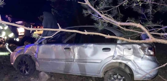 Ardahan'da Otomobil Kazası: Sürücü Yaralandı