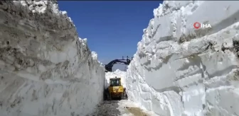 Yüksekova'da 6 metrelik kar tünelleri