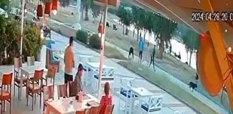 Didim'de sokak köpeği çocuğa saldırdı, çevredekiler müdahale etti
