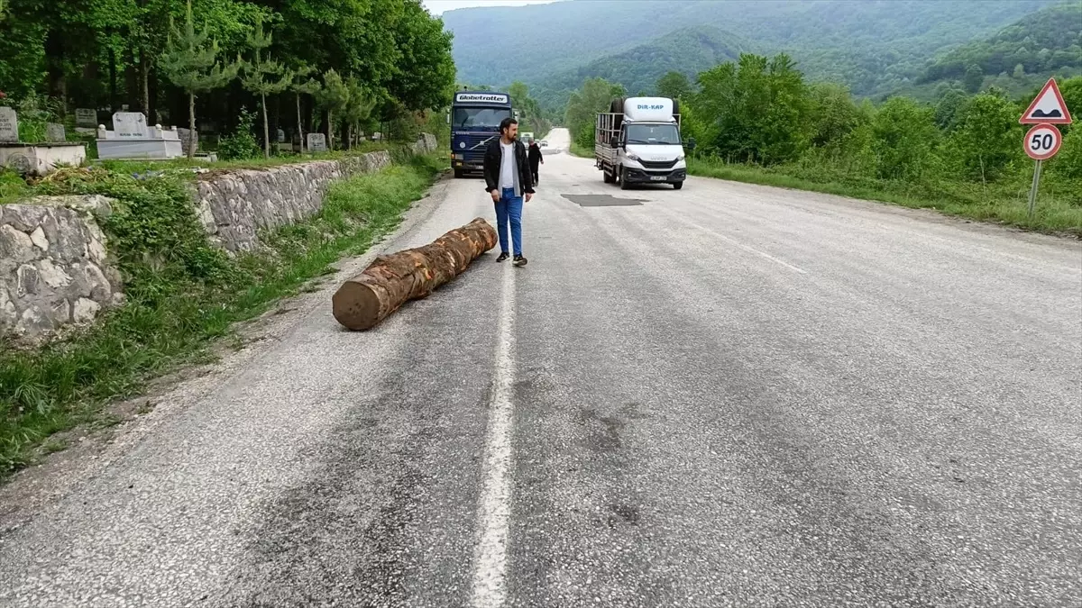 Düzce'de Tomruk Yola Düştü, Ekipler Hızla Müdahale Etti
