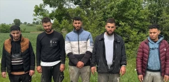Edirne'de yasa dışı yollarla yurt dışına çıkmaya çalışan 5 düzensiz göçmen yakalandı