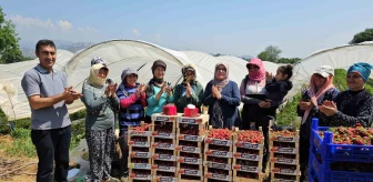 Aydın'da Tarım İşçileri 1 Mayıs'ı Çilek Tarlasında Pasta Keserek Kutladı