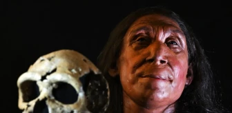 Bilim insanları, 75.000 yıl önce yaşamış bir Neandertal kadının yüzünü yeniden oluşturdu