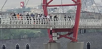 Cizre'de köprüden atlayan kadın botla kurtarıldı