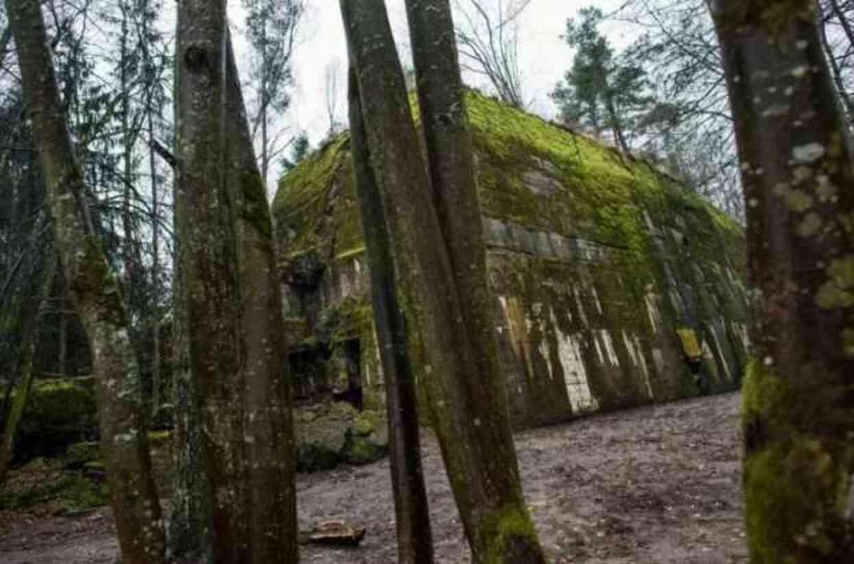 Hitler'in yakın arkadaşı Herman Göring'in evinde el ve ayakları kesilmiş beş iskelet bulundu Hitler'in yakın arkadaşı Herman Göring'in evinde el ve ayakları kesilmiş beş iskelet bulundu