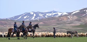 Van'da Atlı Jandarma Timi İran Sınırında Görev Yapıyor