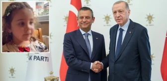 Özel, Cumhurbaşkanı Erdoğan'a Vera'nın fotoğraflarını göstermiş