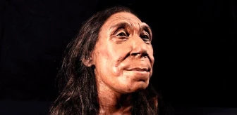 Neandertal Kadınının Yüzü Canlandırıldı