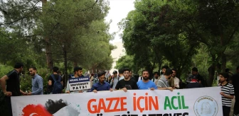 Dicle Üniversitesi Öğrencileri Filistin'e Destek İçin Oturma Eylemi Yaptı