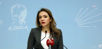 CHP Milletvekili Gamze Akkuş İlgezdi, Milli Eğitim Bakanı'nı eleştirdi