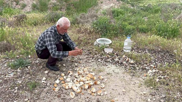 Ayakkabı tamircisi Cumhurbaşkanı'nın davetiyle Külliye'ye gidiyor