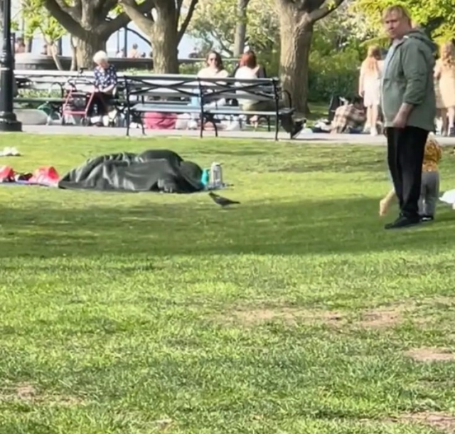 New York'ta bir çift, kalabalık parkta aile ve çocukların gözü önünde battaniye altında ilişkiye girdi