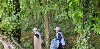 Salıpazarı'nda Orman Temizliği Etkinliği Düzenlendi